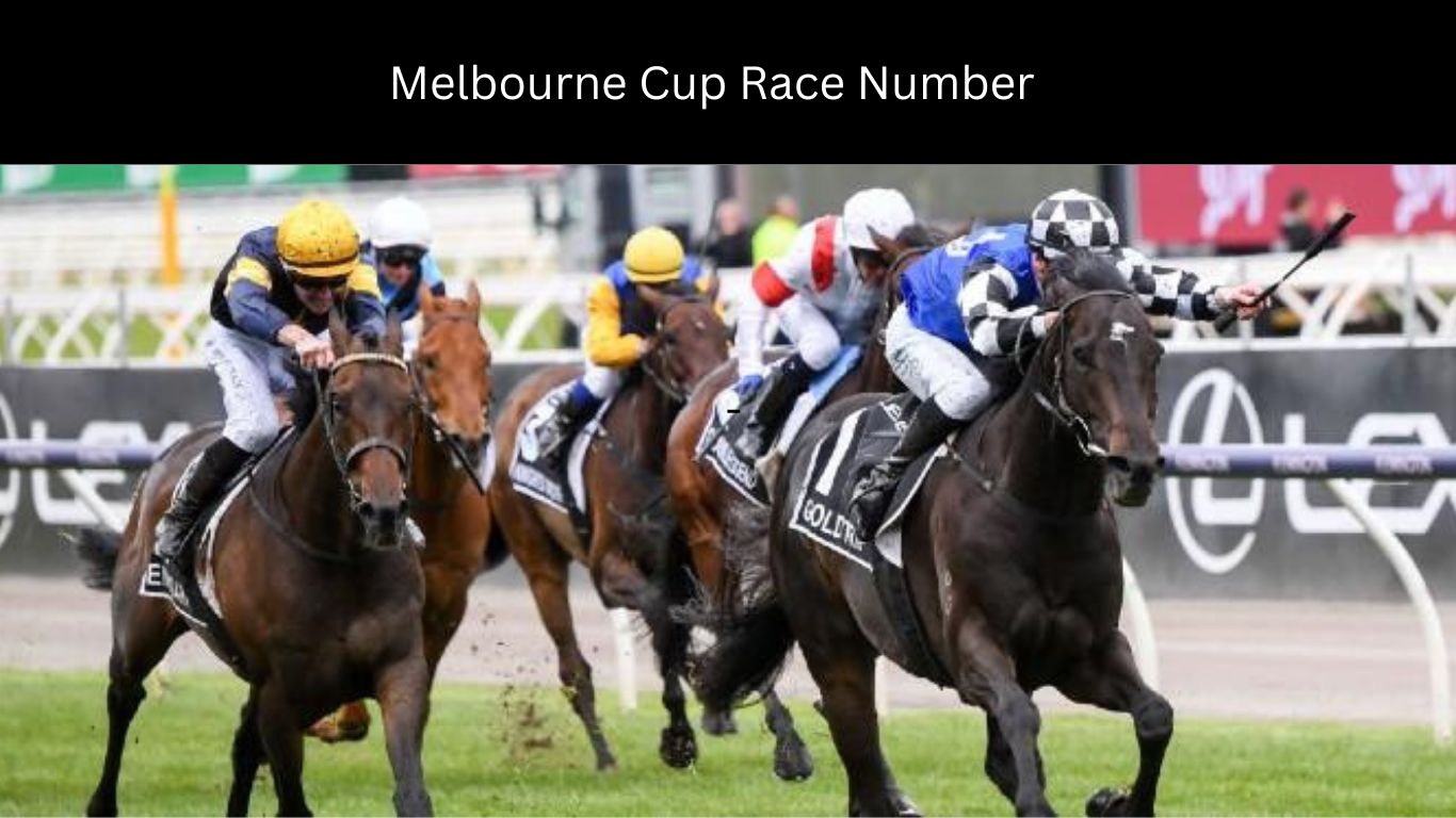 Melbourne Cup Race Number ( Nov 2022 ) Additional facts about the Race?