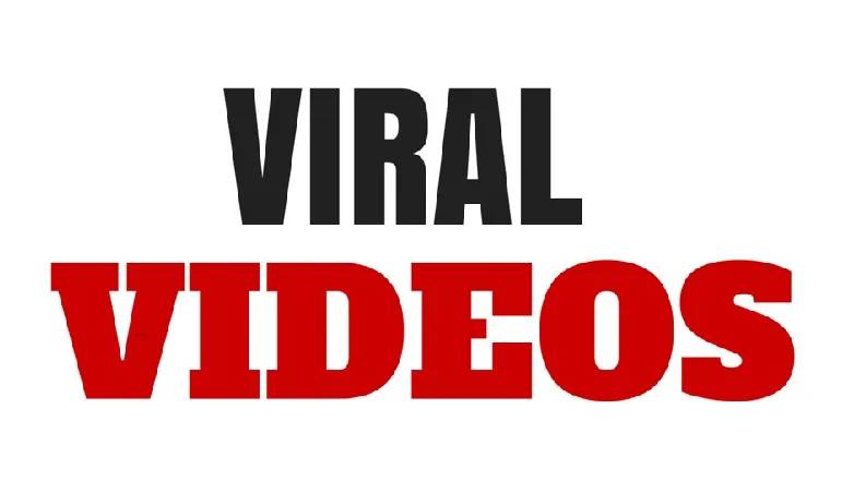 New Viral November 1, 2022 - The Content in the Video - EditorialNet